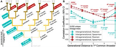 Automated Deep Lineage Tree Analysis Using a Bayesian Single Cell Tracking Approach